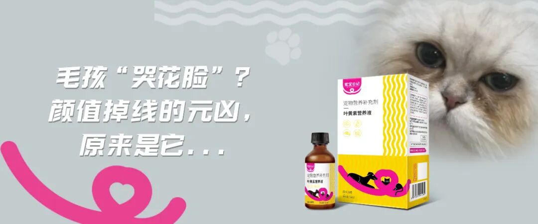 1763005765735672.jpg 640 (35).jpg